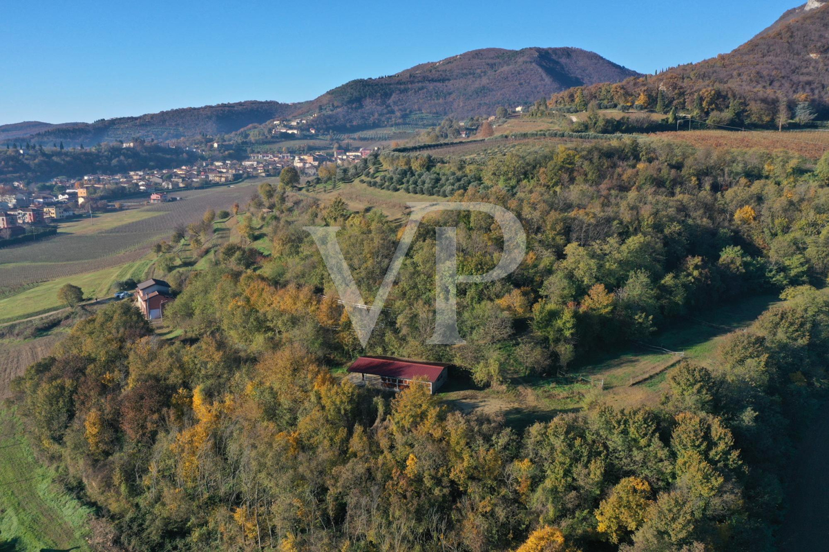 Un angolo di paradiso tra le colline di Barbarano Mossano