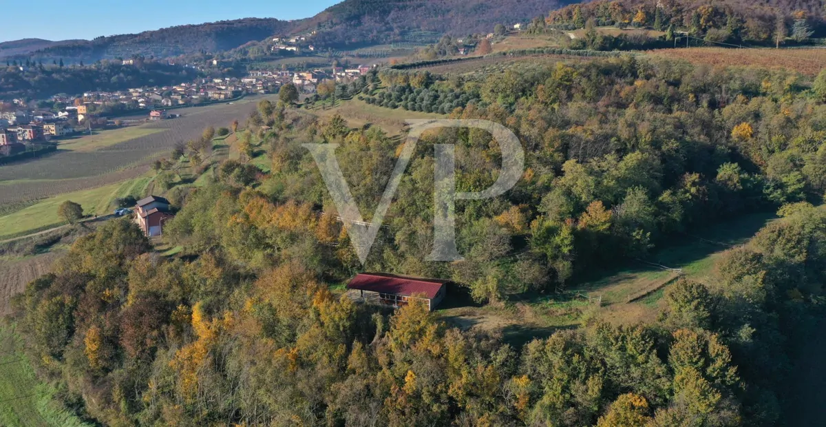 Un rincón de paraíso en las colinas de Barbarano Mossano
