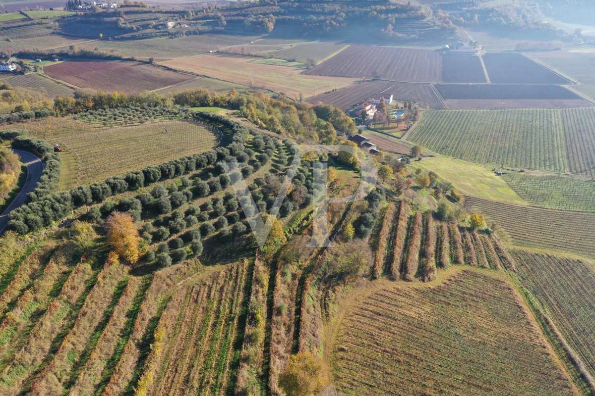 A corner of paradise in the hills of Barbarano Mossano