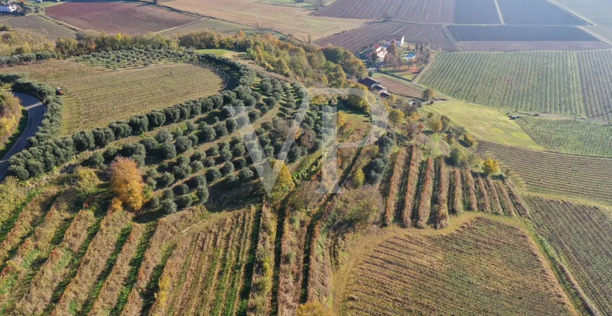 Un rincón de paraíso en las colinas de Barbarano Mossano