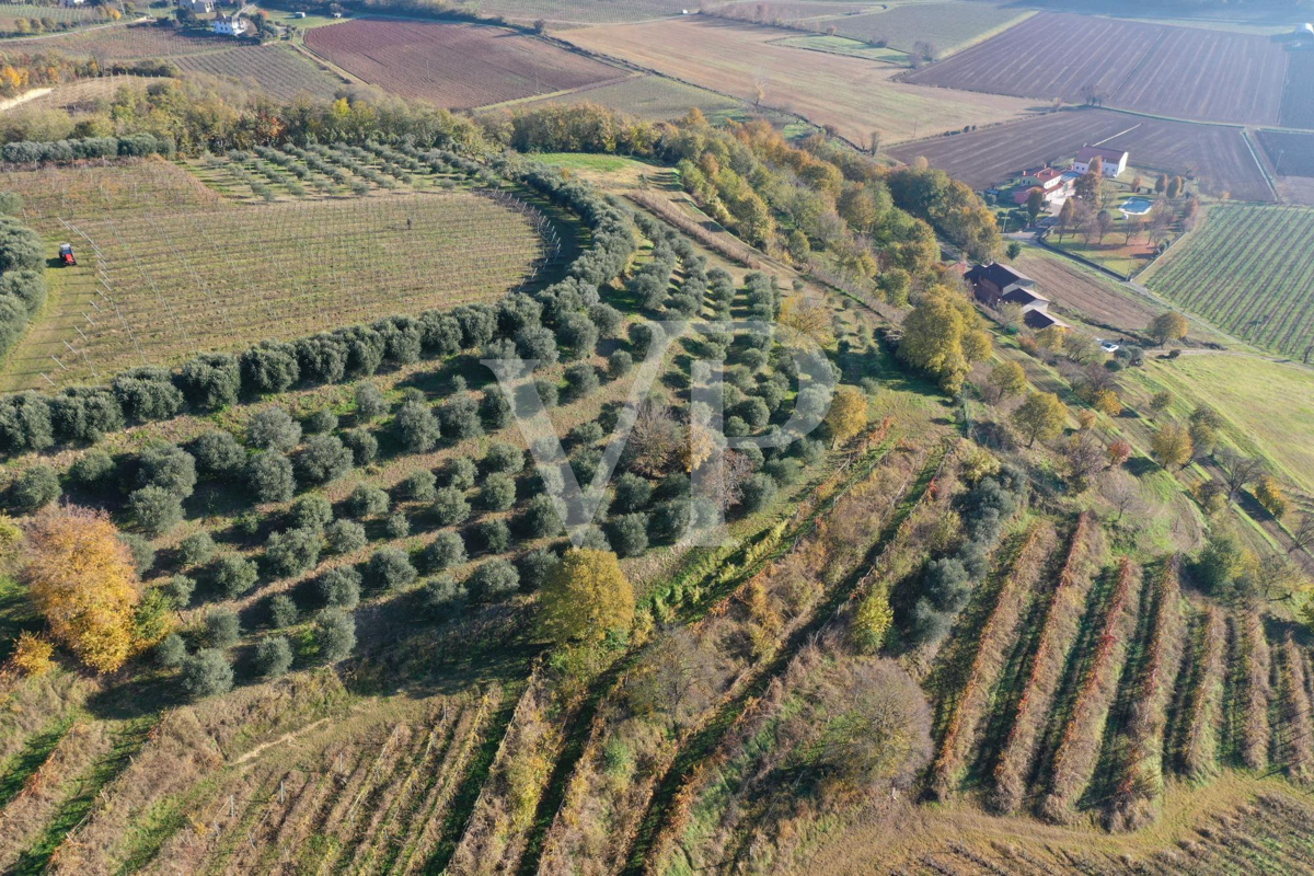 A corner of paradise in the hills of Barbarano Mossano