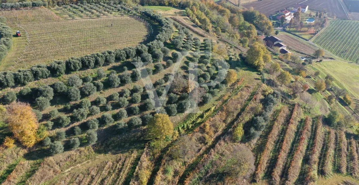 Un rincón de paraíso en las colinas de Barbarano Mossano