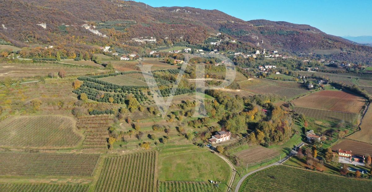 Un coin de paradis dans les collines de Barbarano Mossano