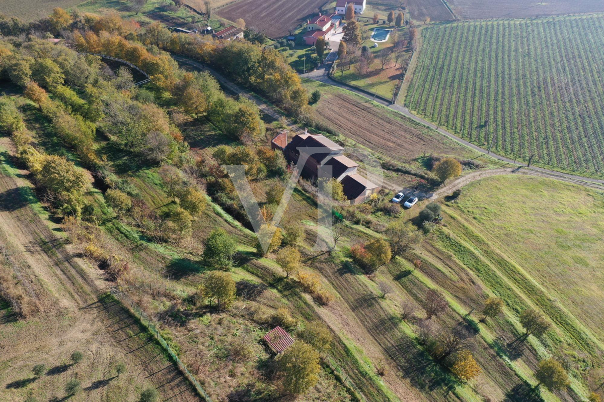 A corner of paradise in the hills of Barbarano Mossano