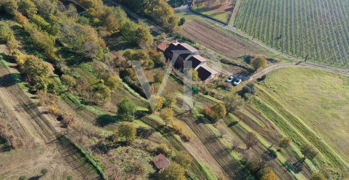 Un rincón de paraíso en las colinas de Barbarano Mossano