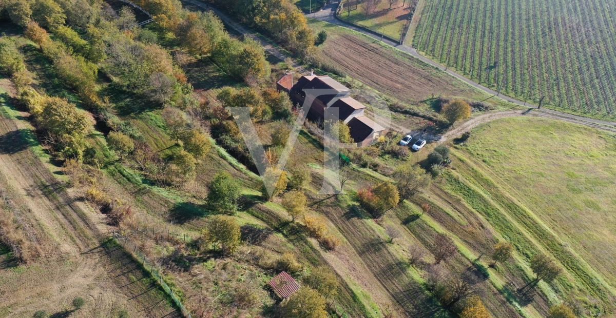 Un coin de paradis dans les collines de Barbarano Mossano