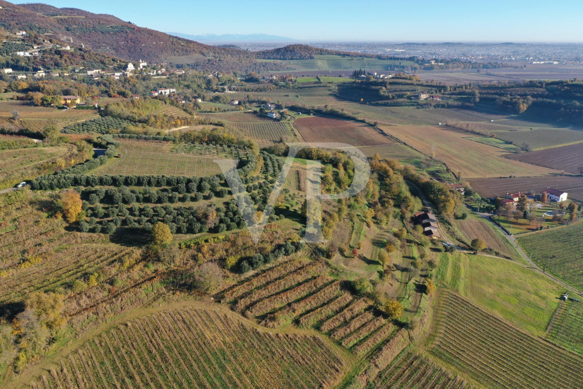 A corner of paradise in the hills of Barbarano Mossano