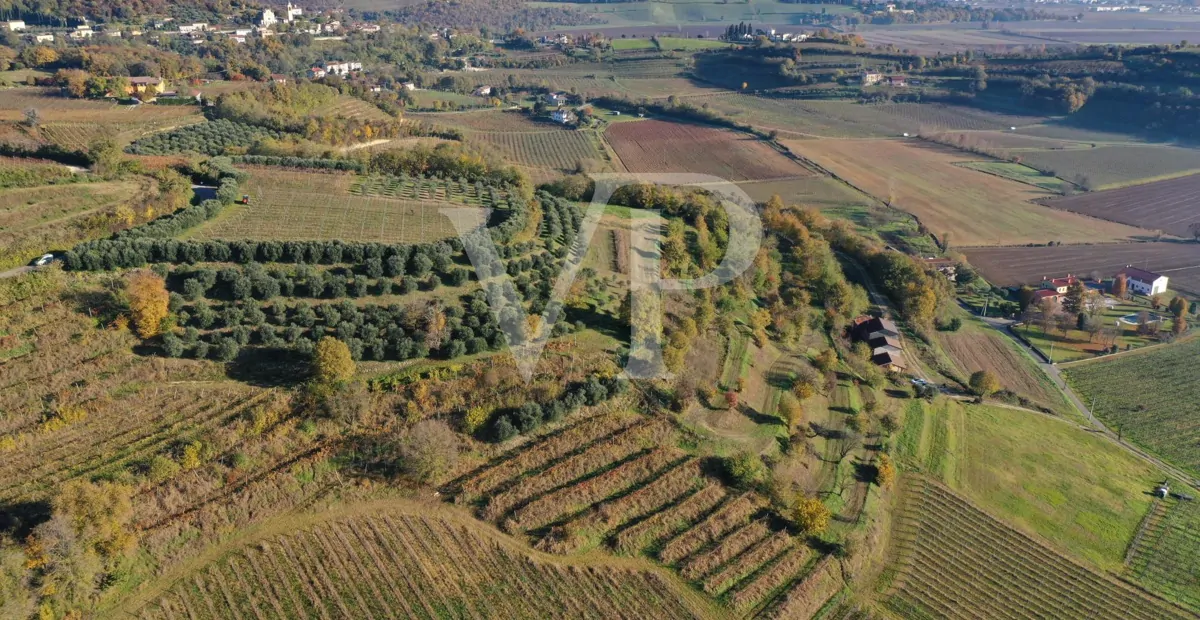 Un rincón de paraíso en las colinas de Barbarano Mossano