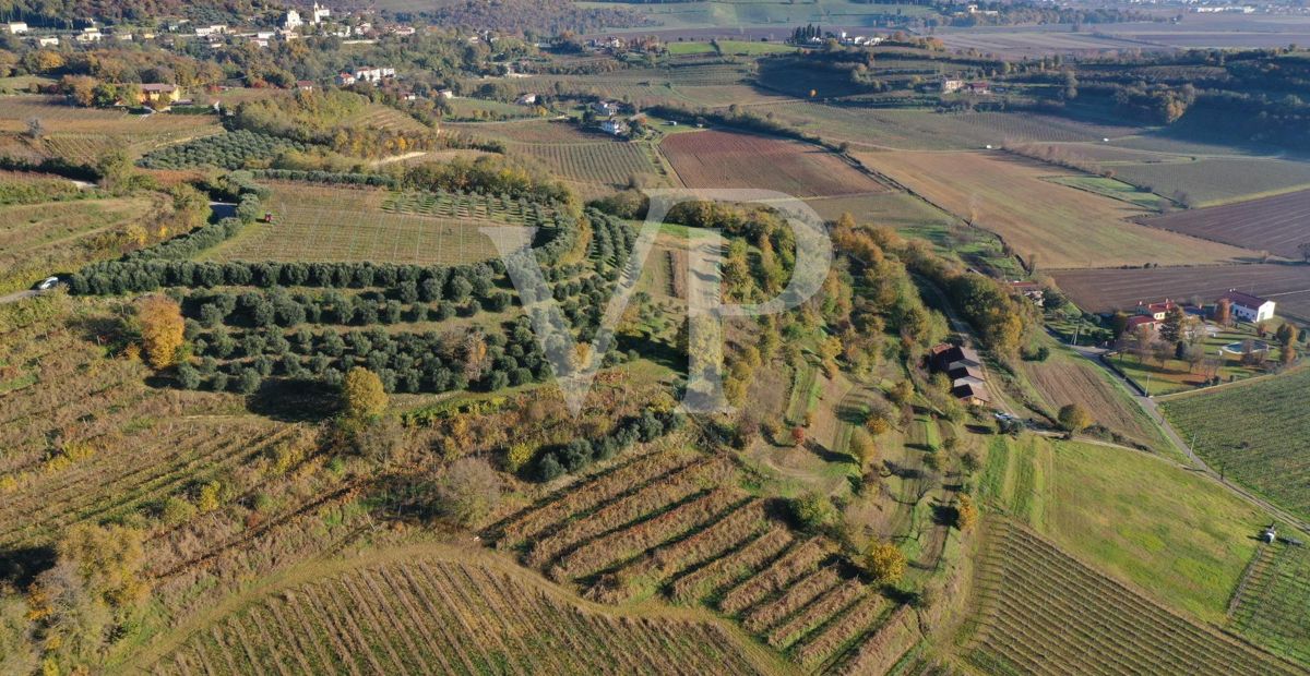 Un coin de paradis dans les collines de Barbarano Mossano