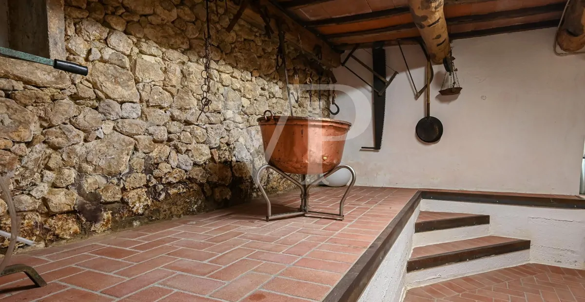 Agriculture of Excellence and Lifestyle: Unique Property with Vineyard and Land in Sossano