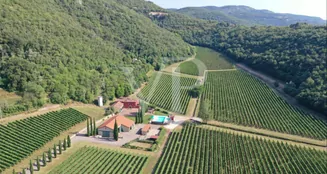 von_poll_real_estate_property_IT243551320_image_57