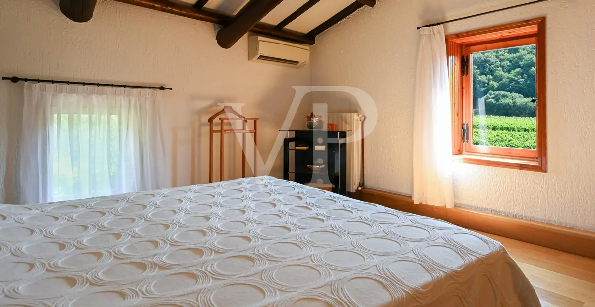 Agriculture of Excellence and Lifestyle: Unique Property with Vineyard and Land in Sossano