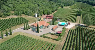 von_poll_real_estate_property_IT243551320_image_64