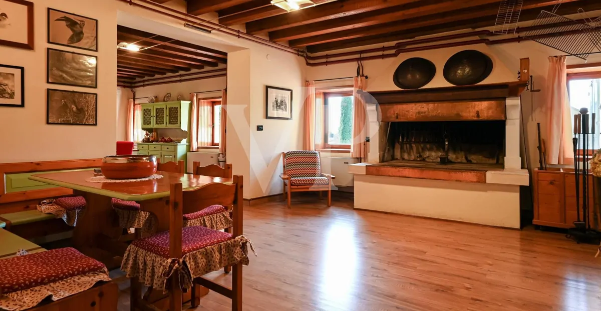 Agriculture of Excellence and Lifestyle: Unique Property with Vineyard and Land in Sossano