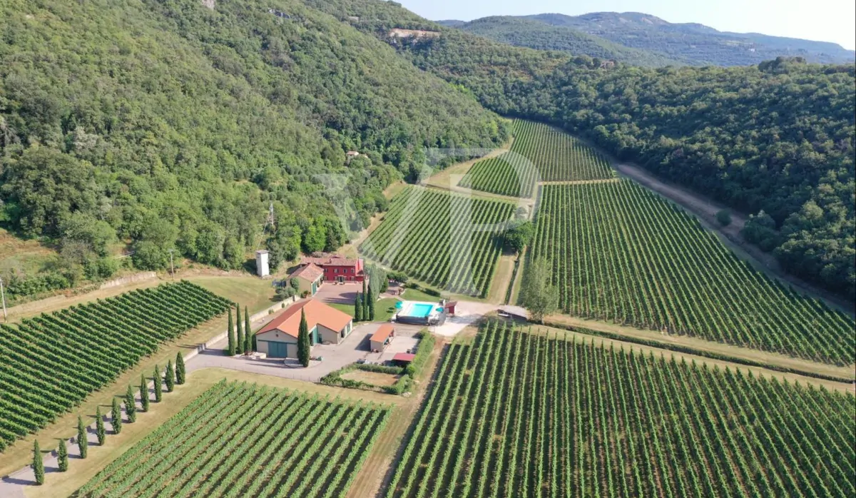 Agriculture of Excellence and Lifestyle: Unique Property with Vineyard and Land in Sossano