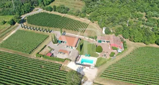 von_poll_real_estate_property_IT243551320_image_146