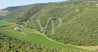 von_poll_real_estate_property_IT243551320_image_145