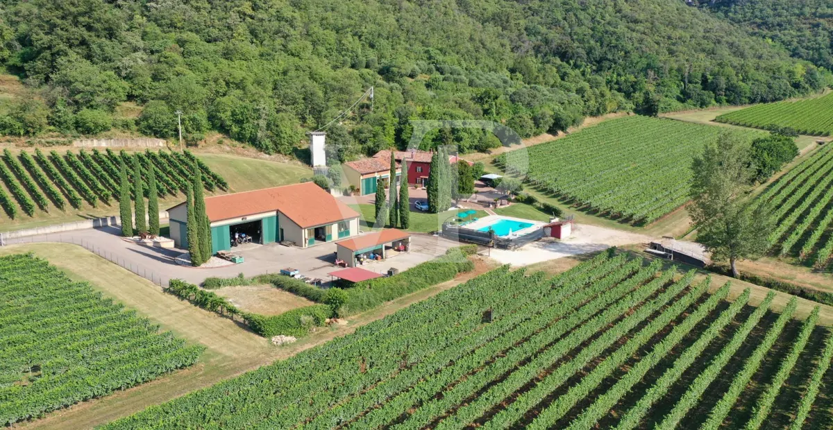 Agriculture of Excellence and Lifestyle: Unique Property with Vineyard and Land in Sossano