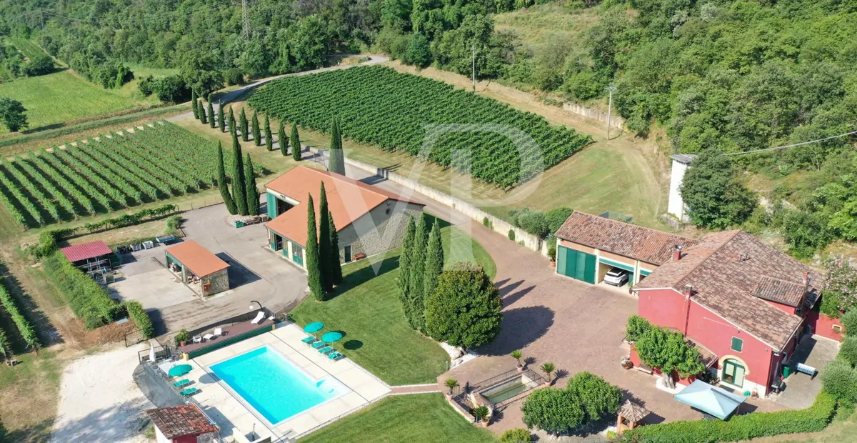 Agriculture of Excellence and Lifestyle: Unique Property with Vineyard and Land in Sossano