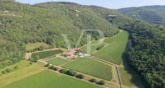 von_poll_real_estate_property_IT243551320_image_114