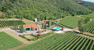 von_poll_real_estate_property_IT243551320_image_115