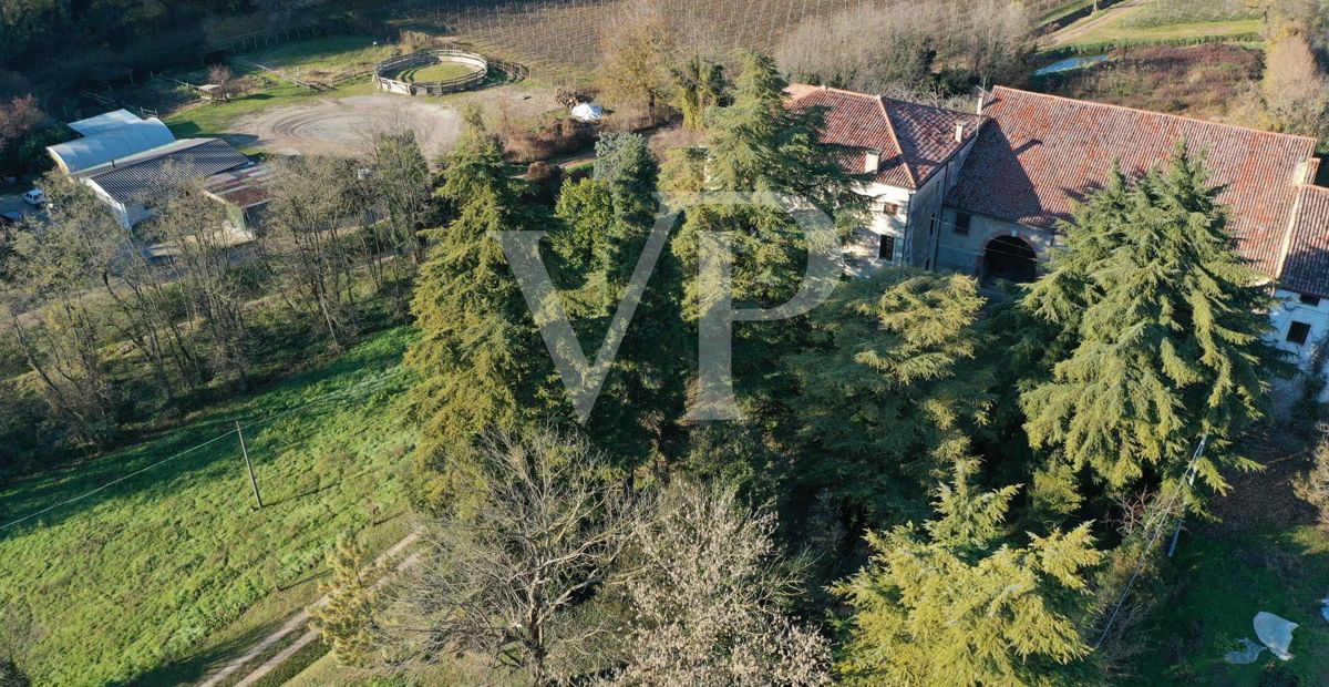 Historisches Bauernhaus mit großem Volumen und außergewöhnlichem Potenzial