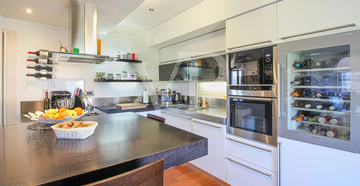 Elegant apartment with tavern