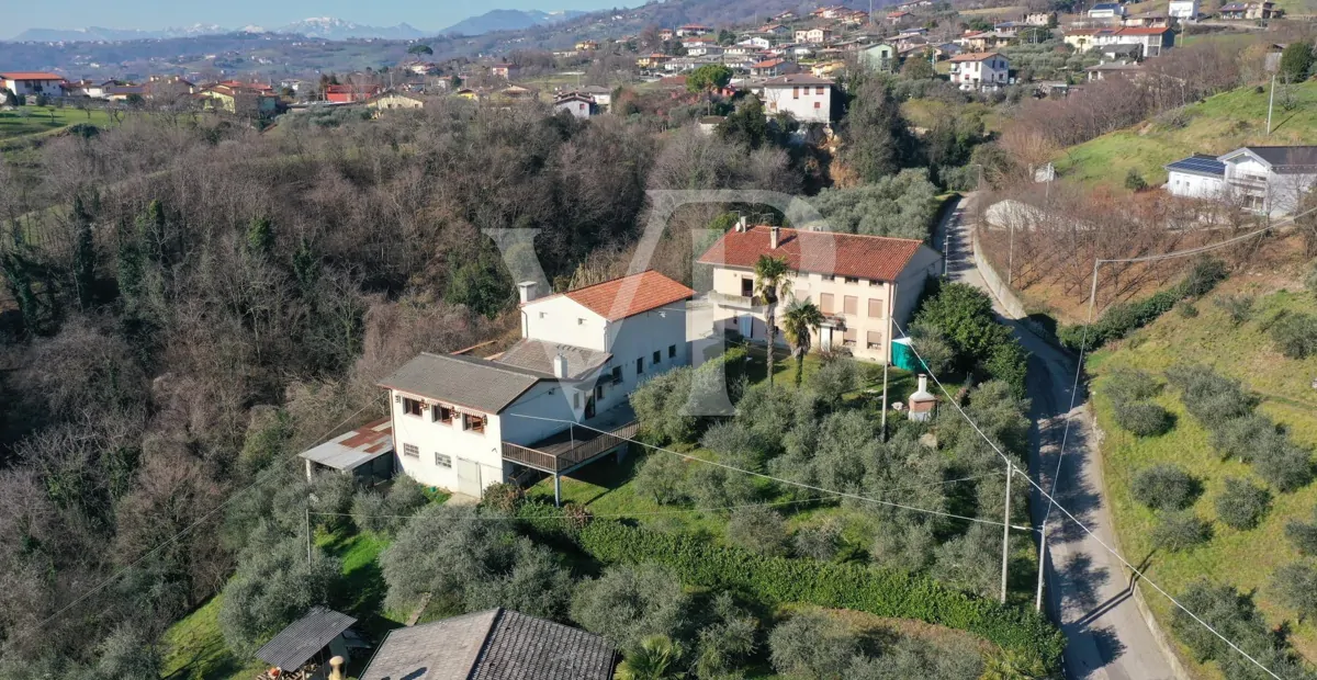 Granja con dependencia comercial y terreno