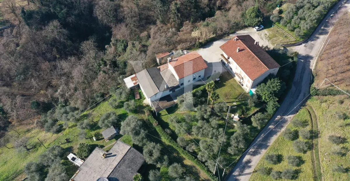 Granja con dependencia comercial y terreno