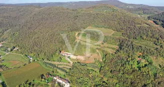 von_poll_real_estate_property_IT243551447_image_31