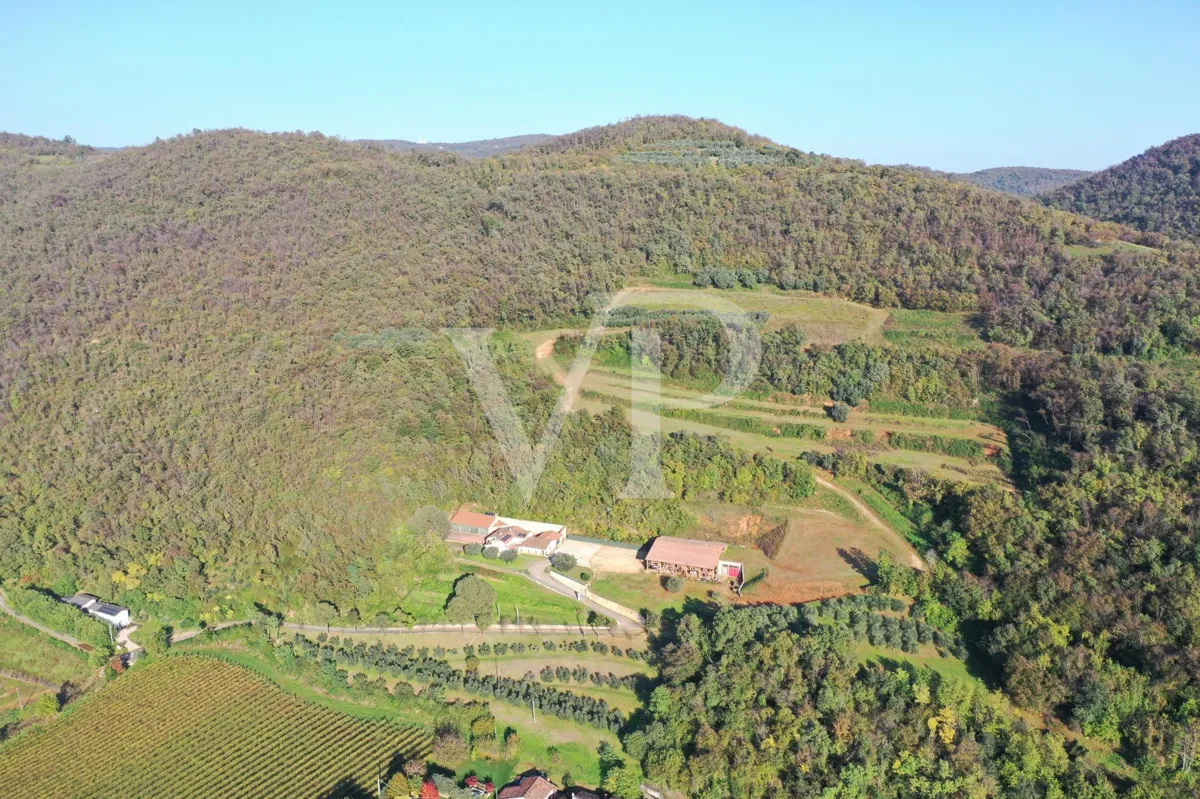 Esclusiva Villa Panoramica con 16 Ettari di terreni collinari