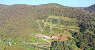 von_poll_real_estate_property_IT243551447_image_4