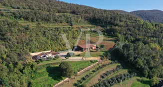 von_poll_real_estate_property_IT243551447_image_2