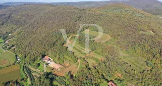 von_poll_real_estate_property_IT243551447_image_6