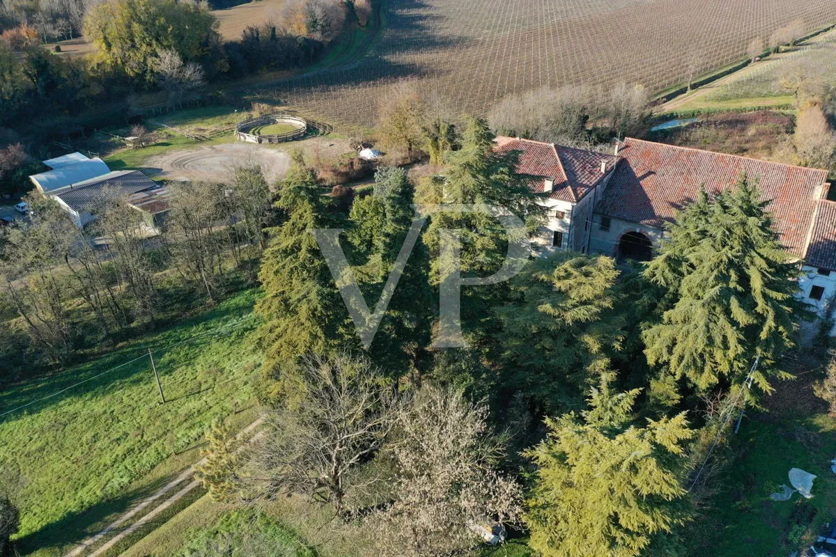 Historisches Bauernhaus mit großem Volumen und außergewöhnlichem Potenzial