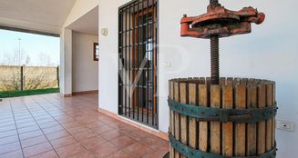 von_poll_real_estate_property_IT253551532_image_5