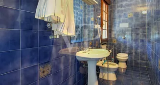 von_poll_real_estate_property_IT253551595_image_33