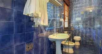 von_poll_real_estate_property_IT253551595_image_223