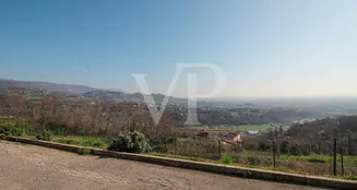 von_poll_real_estate_property_IT243551484_image_49