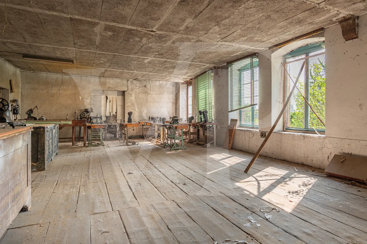 Historische Villa mit Park und handwerklichen Nebengebäuden