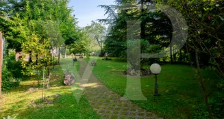 von_poll_real_estate_property_IT20355322_image_24