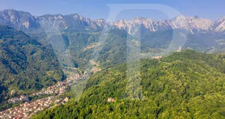 von_poll_real_estate_property_IT20355322_image_27