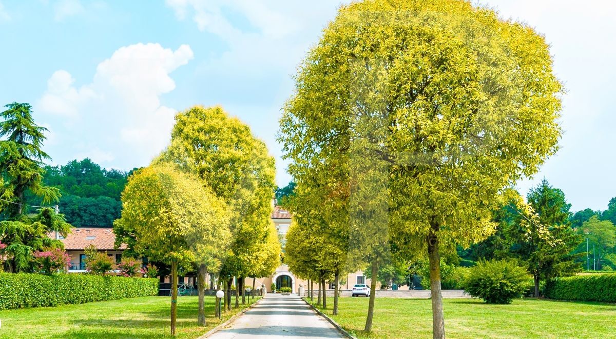 Attico esclusivo a due passi dalla Città
Residence immerso nel verde
