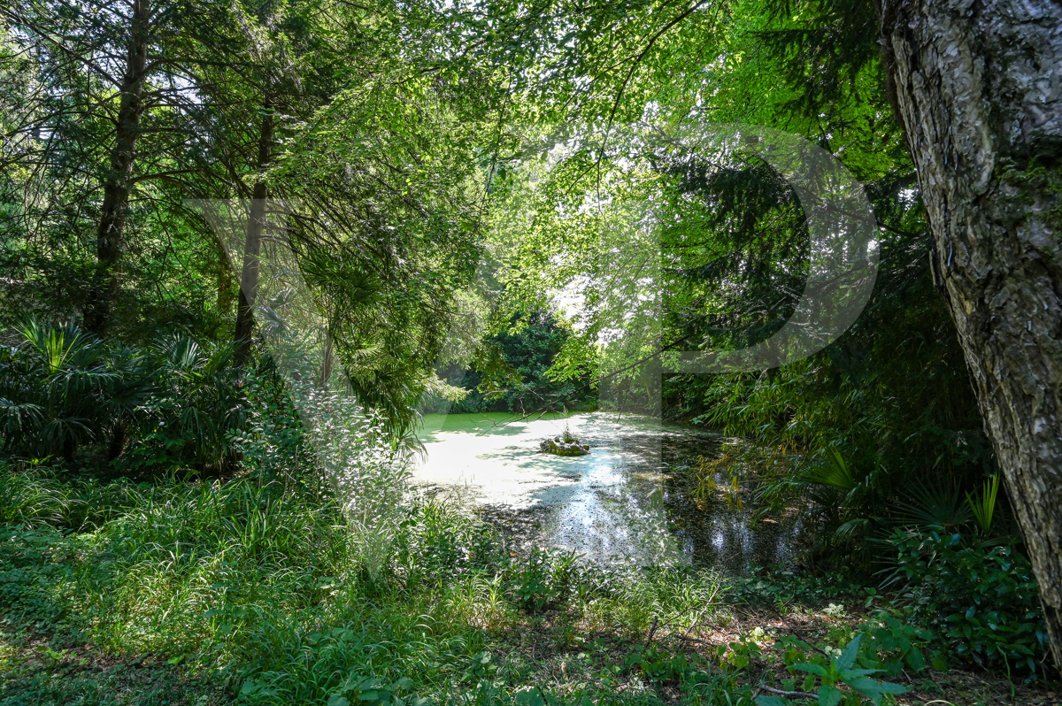 Villa storica alle pendici del Monte Summano