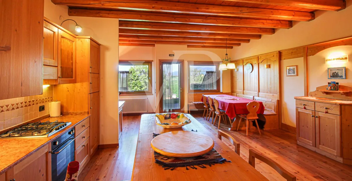 Chalet - Multi-family house with panoramic views
a stone's throw from the center of Asiago