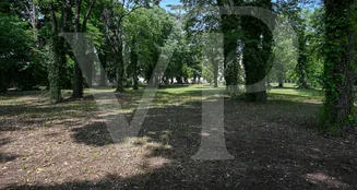 von_poll_real_estate_property_IT21355763_image_31