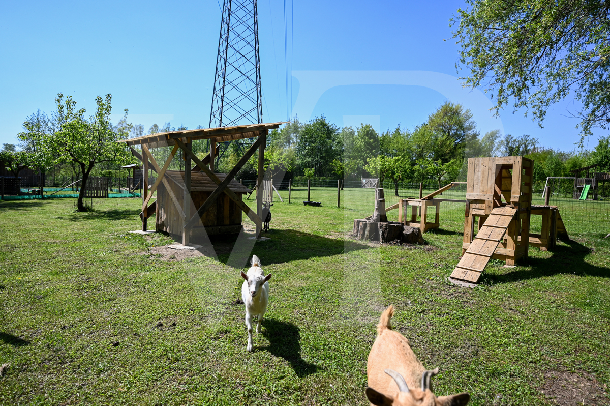 Charmante Mühle umgewandelt
in ein modernes umweltfreundliches Haus