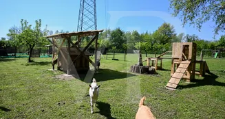 von_poll_real_estate_property_IT21355770_image_134