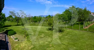 von_poll_real_estate_property_IT21355600_image_123