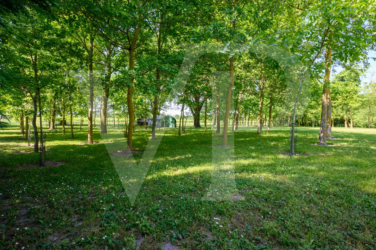 Maravillosa casa de campo perfectamente restaurada